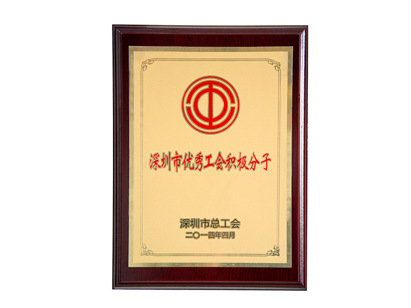 深圳市優(yōu)秀工會積極分子